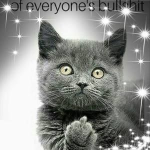 Meet your Posher, Jeni